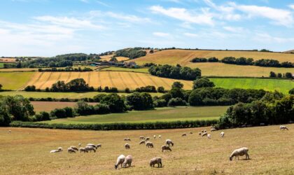 UK Farming