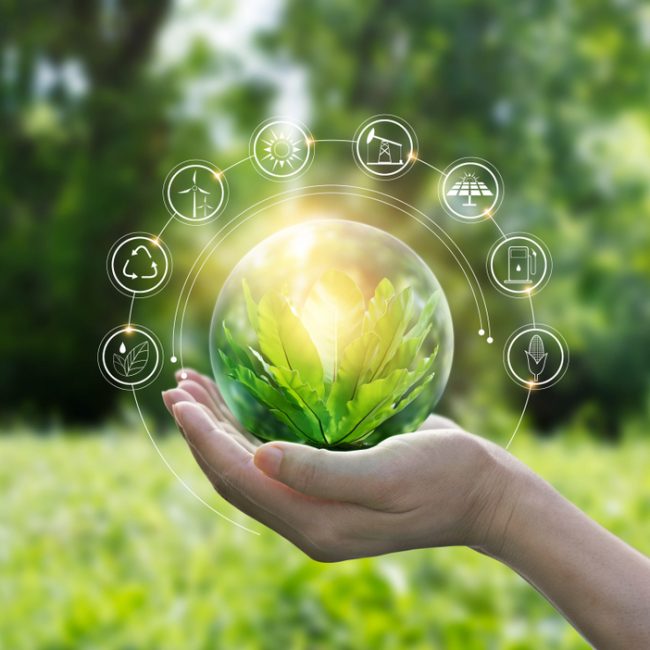 Sustainabilty & Social Impact Funding